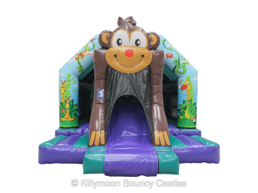 killymoon bouncy castle hire